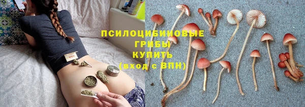 бошки Баксан