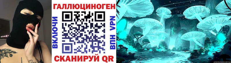 Галлюциногенные грибы Psilocybe  где купить наркоту  Покровск 